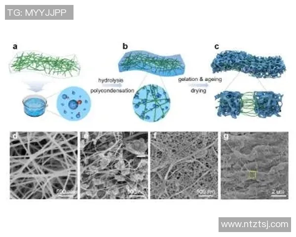 和平精英战术IG团队的全面压制策略与战斗协同分析 和平精英战术IG团队的全面压制策略与战斗协同分析